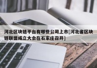 河北区块链平台有哪些公司上市[河北省区块链联盟成立大会在石家庄召开]